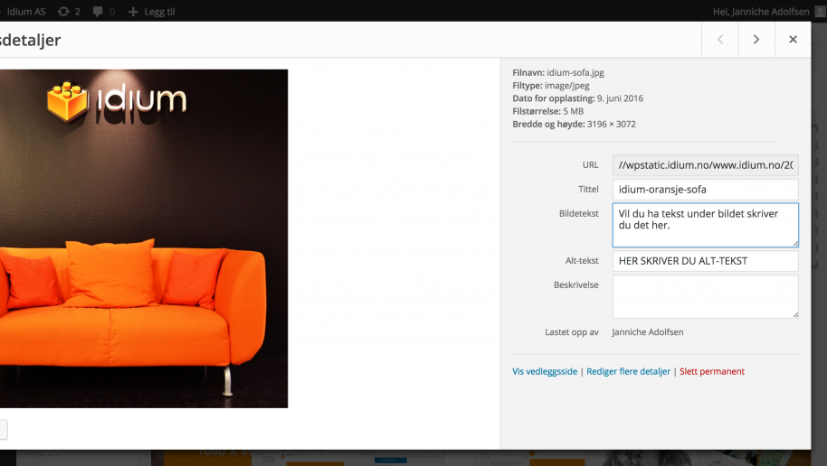 Slik fungerer ALT-tags i WordPress